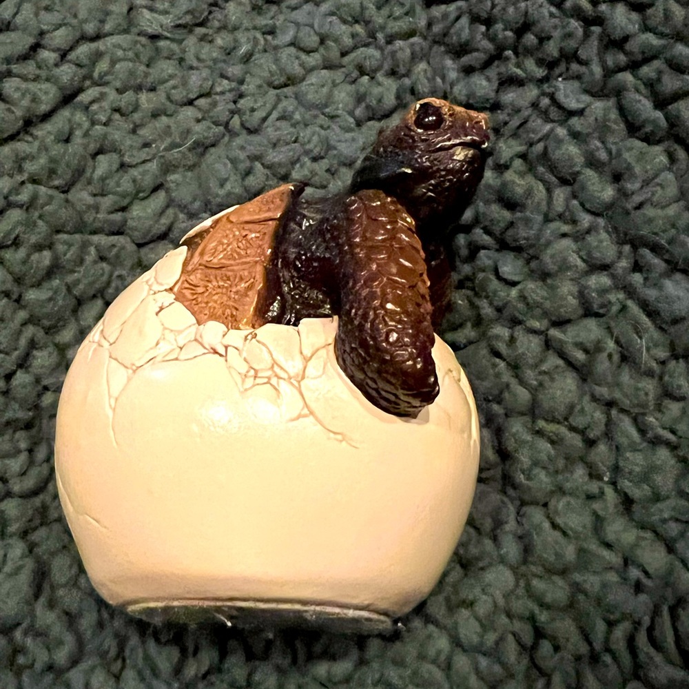 Wind stone collection from California beautiful turtle braking out of his shell